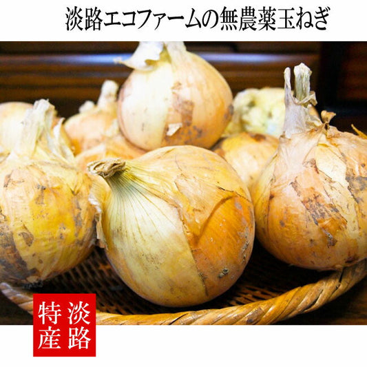 ５月の連休明けよりスタート予定！淡路の無農薬玉ねぎ 乾燥玉ねぎ 35年以上無農薬 甘くて柔らかくて、旨い 兵庫県 プロも認める高品質 産地直送