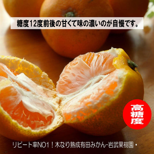 高糖度 和歌山県産 みかん 甘い有田みかん3kg 特選 皮ごと使える リピート率NO1ギフト糖度12度~ ギフト 温州みかん エコファーマー 高糖度 柔らかい 【送料無料(北海道、離島除く)】