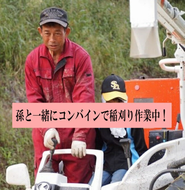 魚沼コシヒカリ/玄米5kg,10kg   令和7年度産 新潟産 こしひかり 棚田米 特別栽培 甘くてツヤツヤ 腐葉土を含む沢水育ち