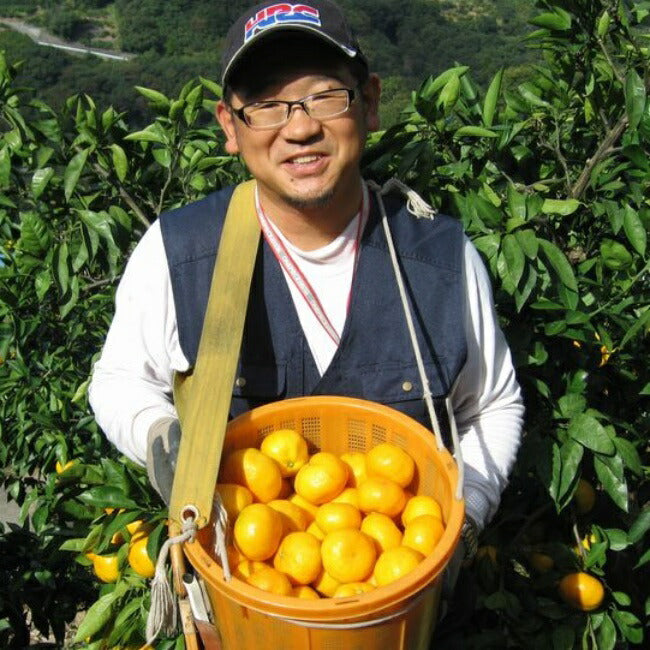 ご予約承り中！甘くてトロットロ ゆら早生みかん3kg、5kg箱 【送料無料/一部地域は別】エコファーマー 減農薬 高糖度 有田みかん リピート率NO1  産地直送