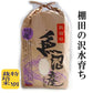 魚沼こしひかり/白米 5kg、10kg、新潟産  令和7年度産 こしひかり 棚田米 特別栽培 甘くてツヤツヤ 腐葉土を含む沢水育ち