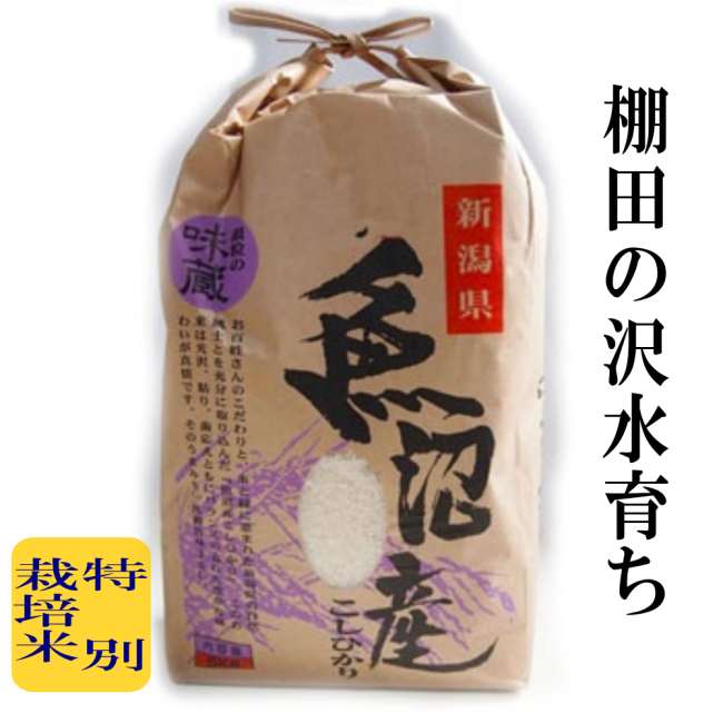 魚沼こしひかり/白米 5kg、10kg、新潟産  令和7年度産 こしひかり 棚田米 特別栽培 甘くてツヤツヤ 腐葉土を含む沢水育ち